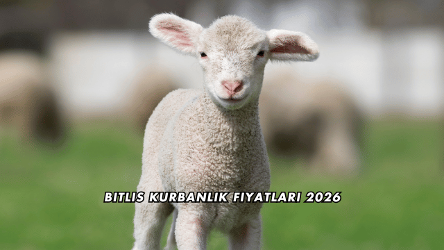 Bitlis Kurbanlık Fiyatları 2026