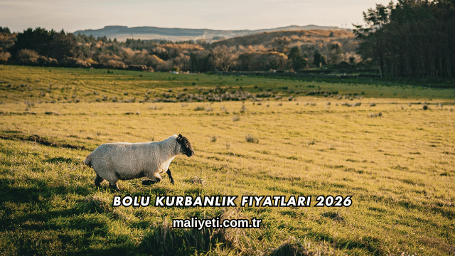 Bolu Kurbanlık Fiyatları 2026