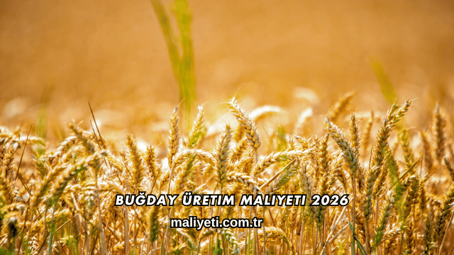 Buğday Üretim Maliyeti 2026