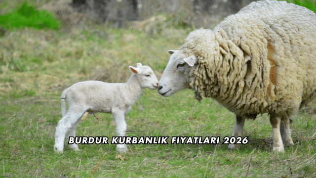Burdur Kurbanlık Fiyatları 2026