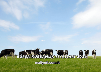 Bursa Kurbanlık Fiyatları 2026