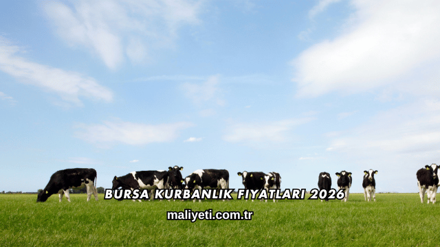 Bursa Kurbanlık Fiyatları 2026