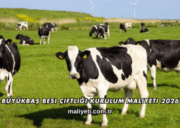 Büyükbaş Besi Çiftliği Kurulum Maliyeti 2026