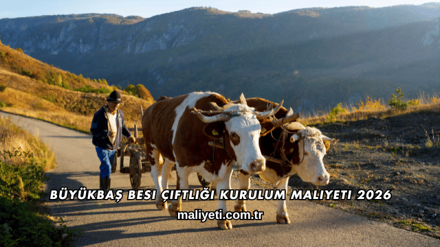 Büyükbaş Besi Çiftliği Kurulum Maliyeti 2026