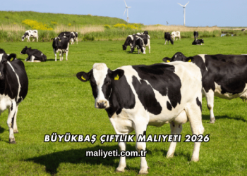 Büyükbaş Çiftlik Maliyeti 2026