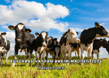 Büyükbaş Hayvan Bakım Maliyeti 2026