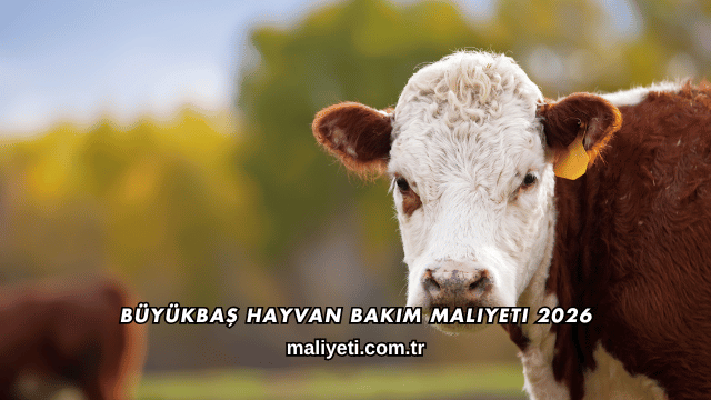 Büyükbaş Hayvan Bakım Maliyeti 2026