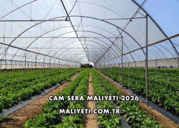 Cam Sera Maliyeti 2026