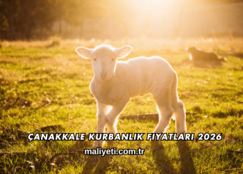 Çanakkale Kurbanlık Fiyatları 2026