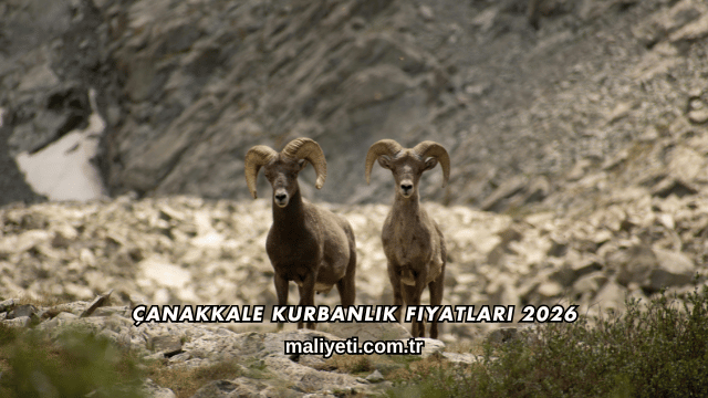 Çanakkale Kurbanlık Fiyatları 2026
