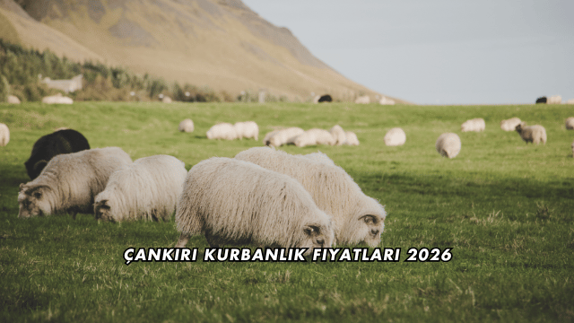 Çankırı Kurbanlık Fiyatları 2026