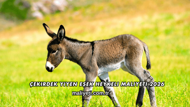 Çekirdek Yiyen Eşek Heykeli Maliyeti 2026