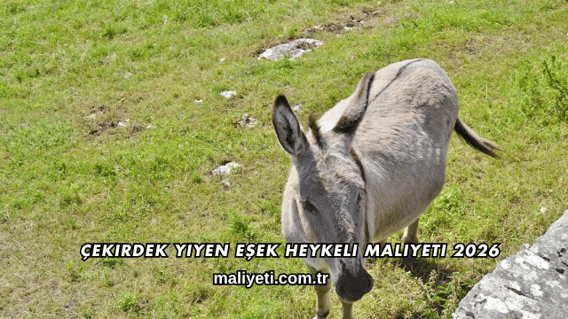 Çekirdek Yiyen Eşek Heykeli Maliyeti 2026
