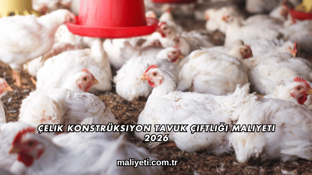 Çelik Konstrüksiyon Tavuk Çiftliği Maliyeti 2026
