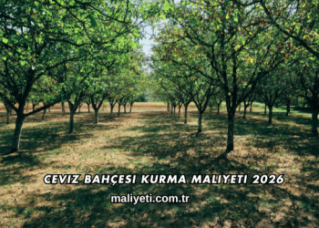 Ceviz Bahçesi Kurma Maliyeti 2026