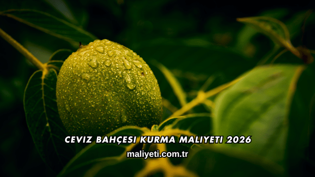 Ceviz Bahçesi Kurma Maliyeti 2026