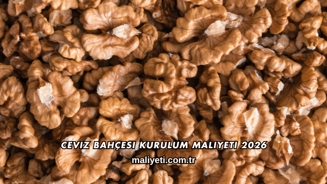 Ceviz Bahçesi Kurulum Maliyeti 2026