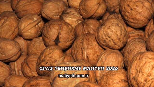 Ceviz Yetiştirme Maliyeti 2026