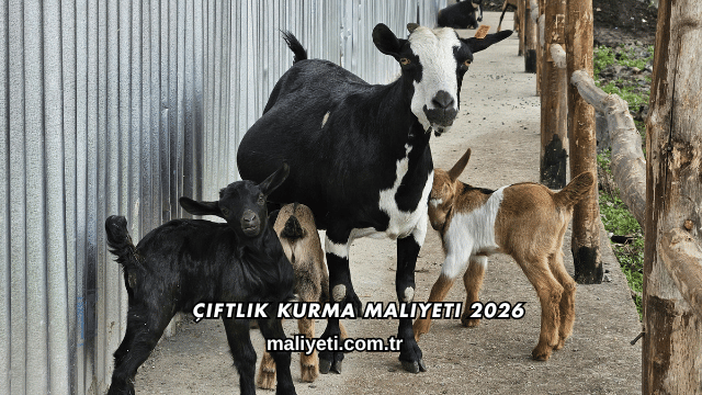 Çiftlik Kurma Maliyeti 2026