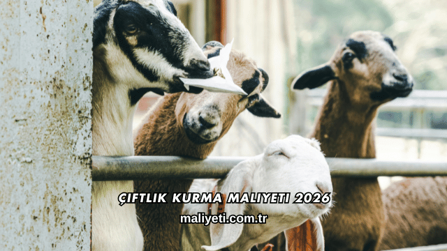 Çiftlik Kurma Maliyeti 2026