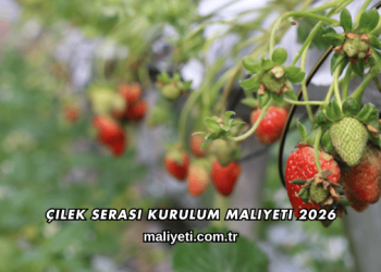 Çilek Serası Kurulum Maliyeti 2026