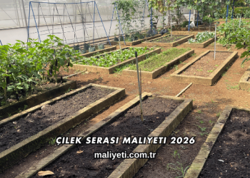 Çilek Serası Maliyeti 2026