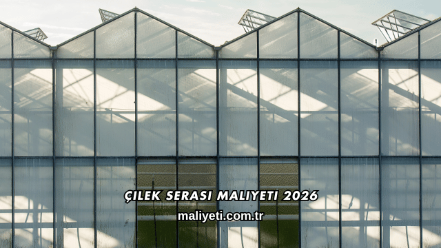 Çilek Serası Maliyeti 2026