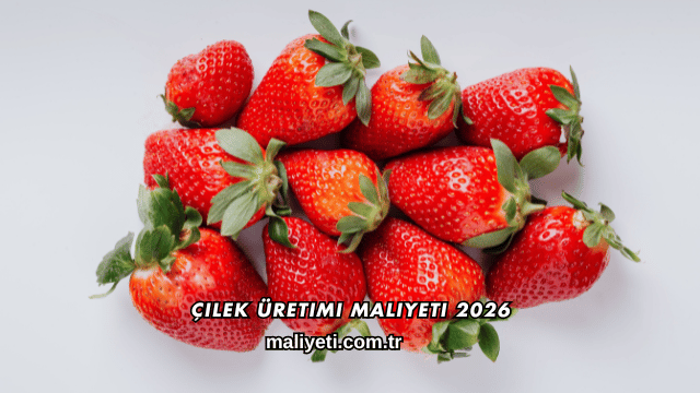 Çilek Üretimi Maliyeti 2026