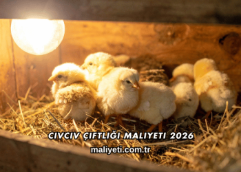 Civciv Çiftliği Maliyeti 2026