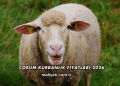 Çorum Kurbanlık Fiyatları 2026