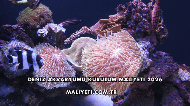 Deniz Akvaryumu Kurulum Maliyeti 2026