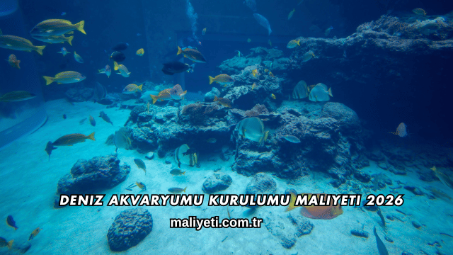 Deniz Akvaryumu Kurulumu Maliyeti 2026
