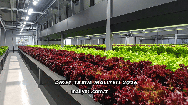 Dikey Tarım Maliyeti 2026