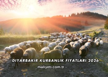 Diyarbakır Kurbanlık Fiyatları 2026