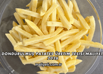 Dondurulmuş Patates Üretim Tesisi Maliyeti 2026