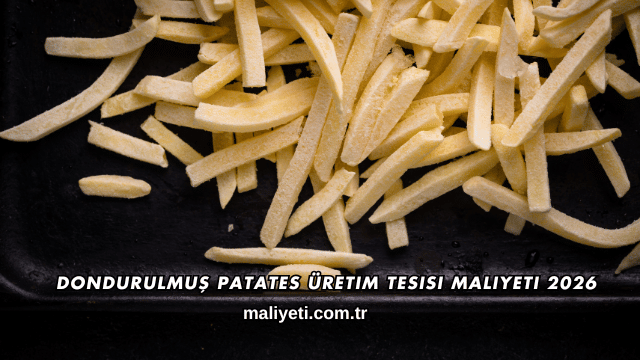 Dondurulmuş Patates Üretim Tesisi Maliyeti 2026