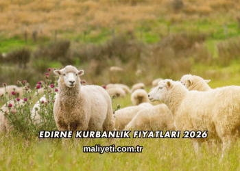 Edirne Kurbanlık Fiyatları 2026