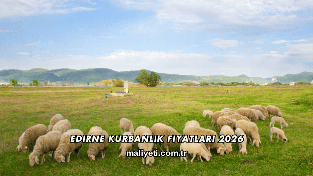 Edirne Kurbanlık Fiyatları 2026