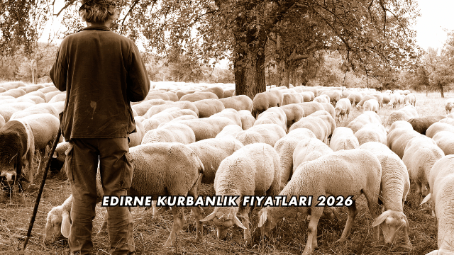 Edirne Kurbanlık Fiyatları 2026