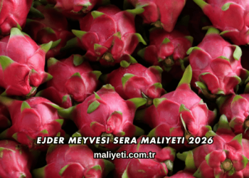 Ejder Meyvesi Sera Maliyeti 2026