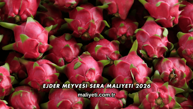 Ejder Meyvesi Sera Maliyeti 2026