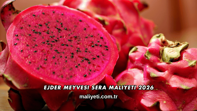 Ejder Meyvesi Sera Maliyeti 2026
