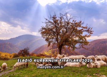 Elazığ Kurbanlık Fiyatları 2026