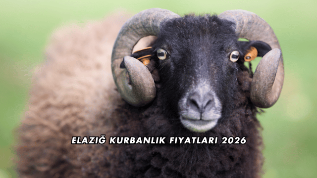 Elazığ Kurbanlık Fiyatları 2026