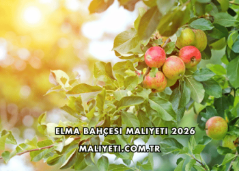 Elma Bahçesi Maliyeti 2026