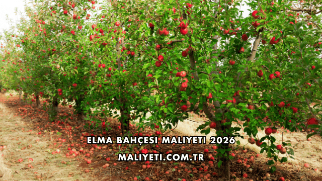 Elma Bahçesi Maliyeti 2026