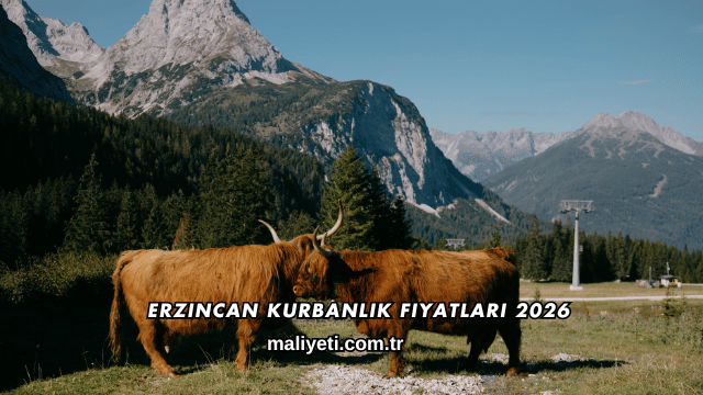 Erzincan Kurbanlık Fiyatları 2026