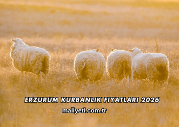 Erzurum Kurbanlık Fiyatları 2026
