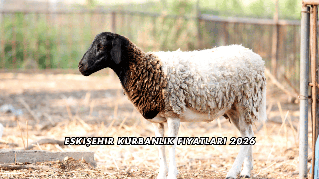 Eskişehir Kurbanlık Fiyatları 2026