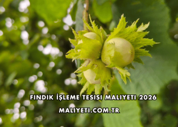 Fındık İşleme Tesisi Maliyeti 2026
